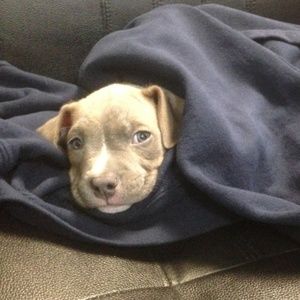 Meet your Posher, Lky